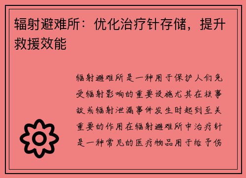 辐射避难所：优化治疗针存储，提升救援效能
